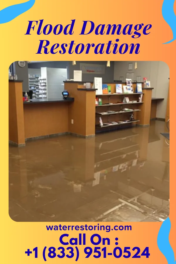 Flood Damage Restoration in Pine Ridge, PA