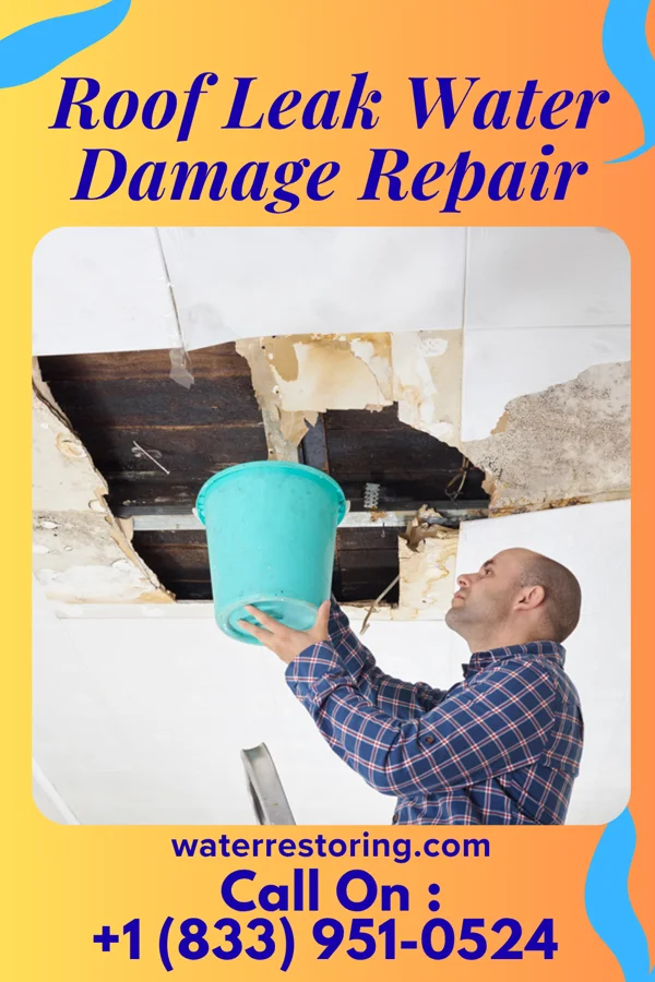 Roof Leak Water Damage Repair in Pine Ridge, PA