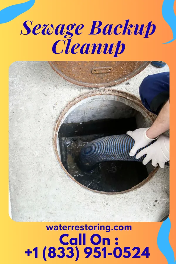 Sewage Backup Cleanup in Pine Ridge, PA
