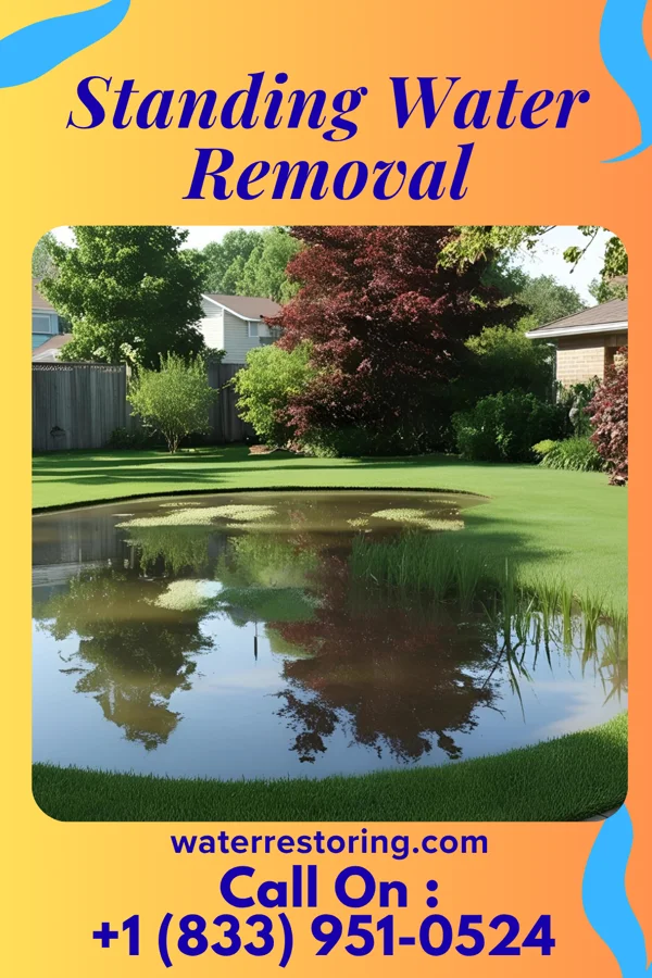 Standing Water Removal in Pine Ridge, PA